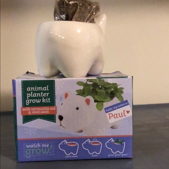 Animal Planter Grow Kit. Paul. New. - Picture 3 of 4